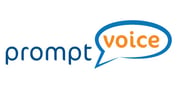 logo-promptvoice-preview